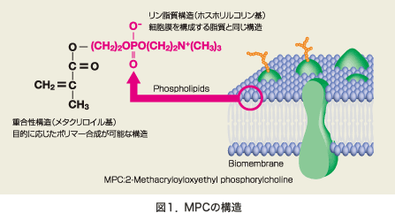 図:図1 MPCの構造