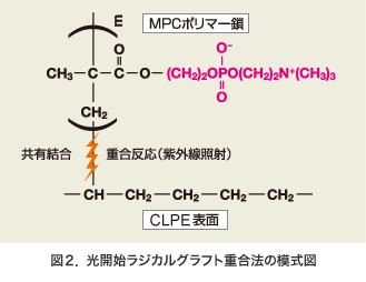 図:図2 光開始ラジカルグラフト重合法の模式図