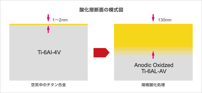 イメージ：酸化層断面の模式図